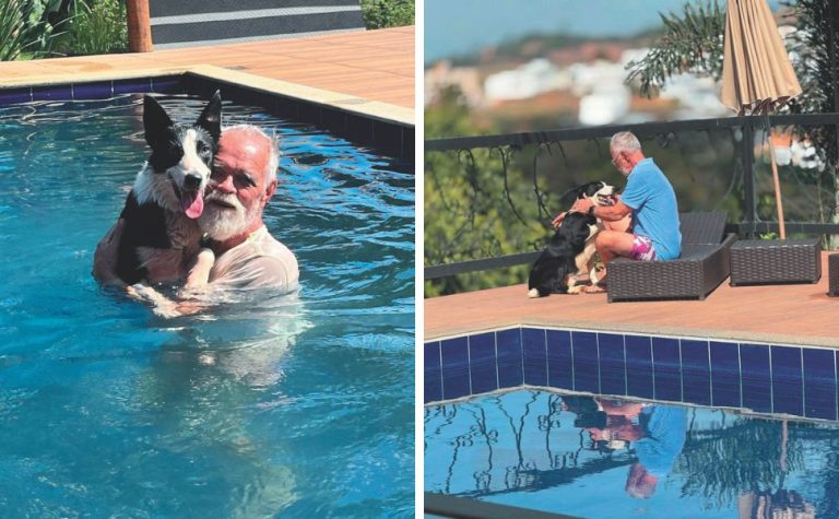 Cachorro ajuda a salvar o tutor durante infarto