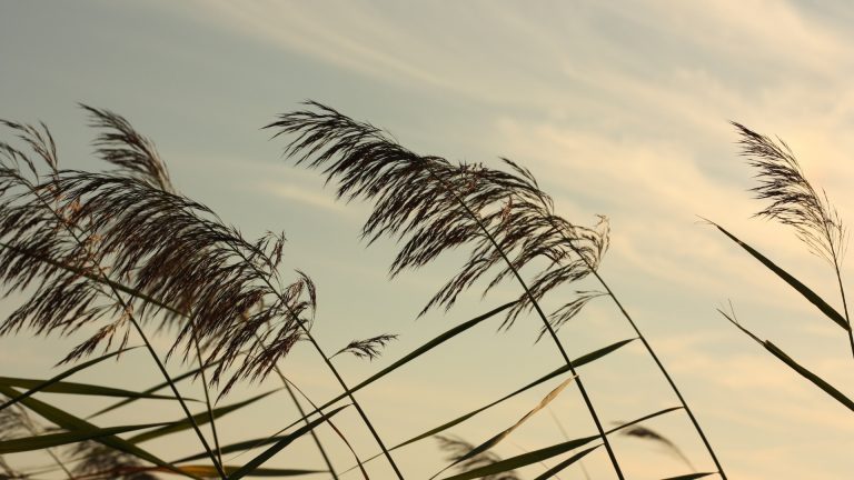 Cidade do Espírito Santo recebe alerta de vendaval para esta sexta