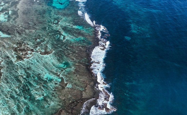Dia mais quente da história dos oceanos é registrado com El Niño recorde