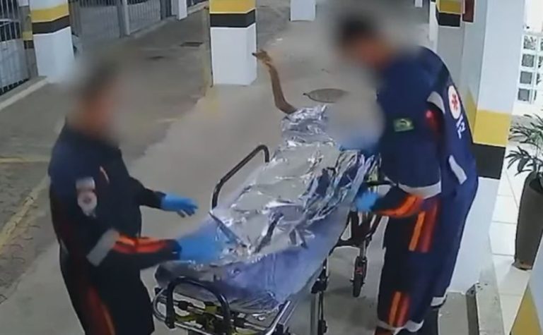 Filhos se tornam réus após denúncia do MPES por maus-tratos a idosa