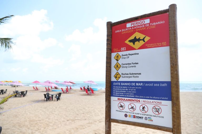 Abertura do verão: comitê de monitoramento de tubarões reforça alerta nas praias