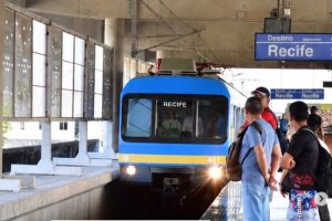Árvore derruba rede elétrica e paralisa Linha Centro do Metrô