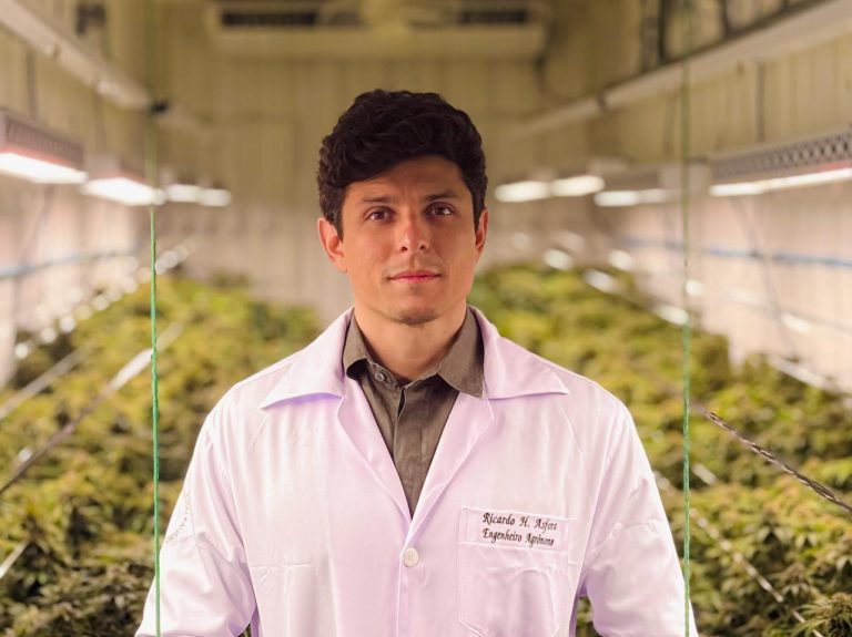 Cannabis medicinal cresce como alternativa para a medicina veterinária