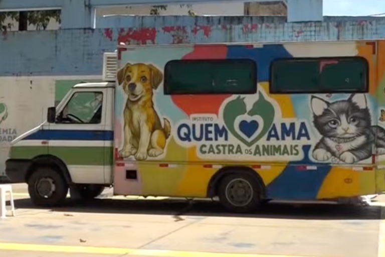 Castramóvel realiza castração gratuita de cães e gatos no Recife em setembro