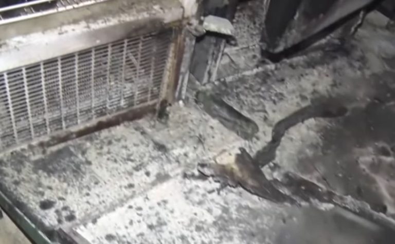 Churrascaria pega fogo após freezer “explodir” em Vitória