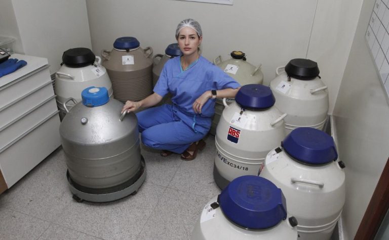 Clínicas do ES têm embriões congelados há 28 anos