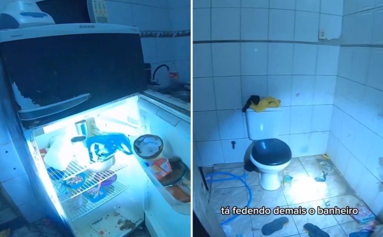 Crianças são resgatadas de casa usada para tráfico de drogas em Vila Velha