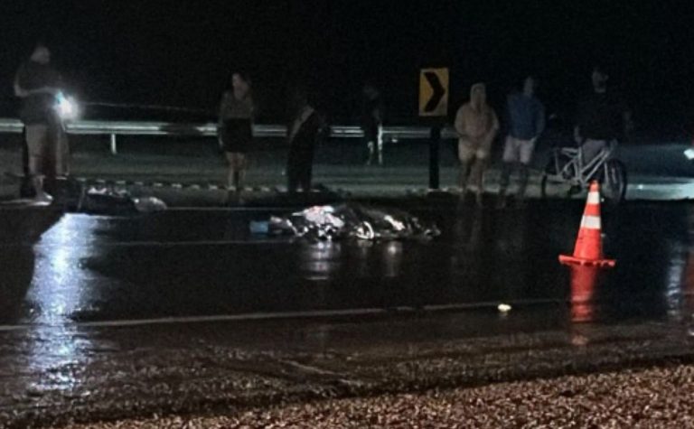Homem morre após ser atropelado por microonibus na BR-101 em Anchieta