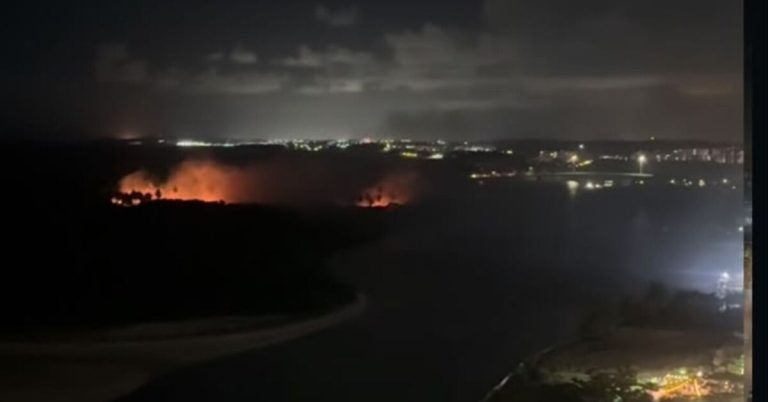 Incêndio atinge vegetação na Ilha do Amor, no Litoral Sul de Pernambuco