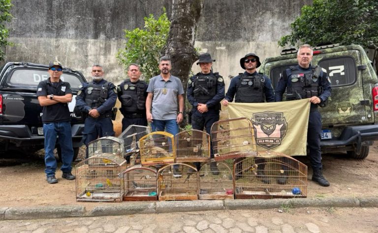 Pássaros silvestres são apreendidos em cativeiro ilegal em Vila Velha