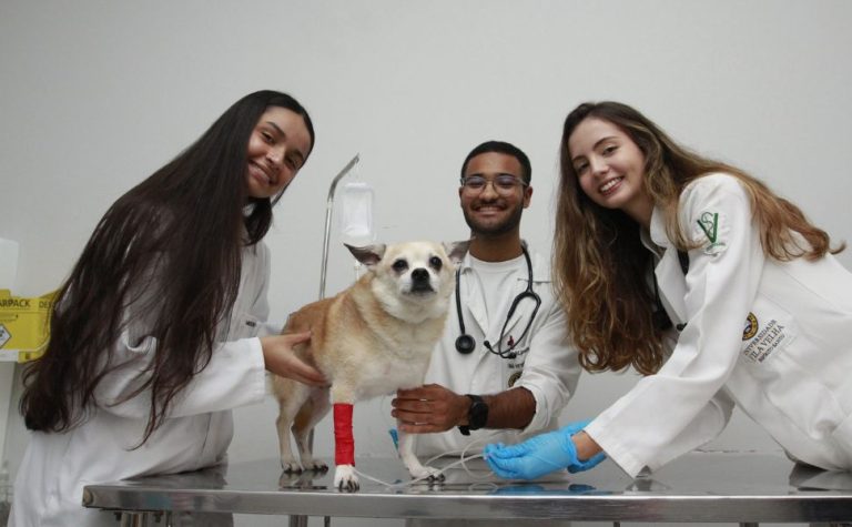 Temporada de vestibulares com novas opções de cursos; confira