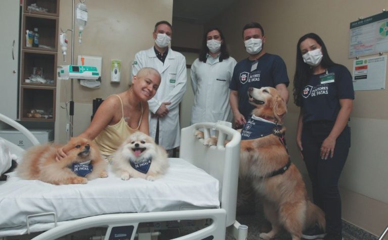 Amor de quatro patas ajuda na recuperação de pacientes em Vitória
