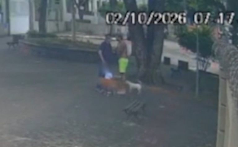 Avô leva socos e bebê de 1 ano cai no chão durante agressão em Vitória