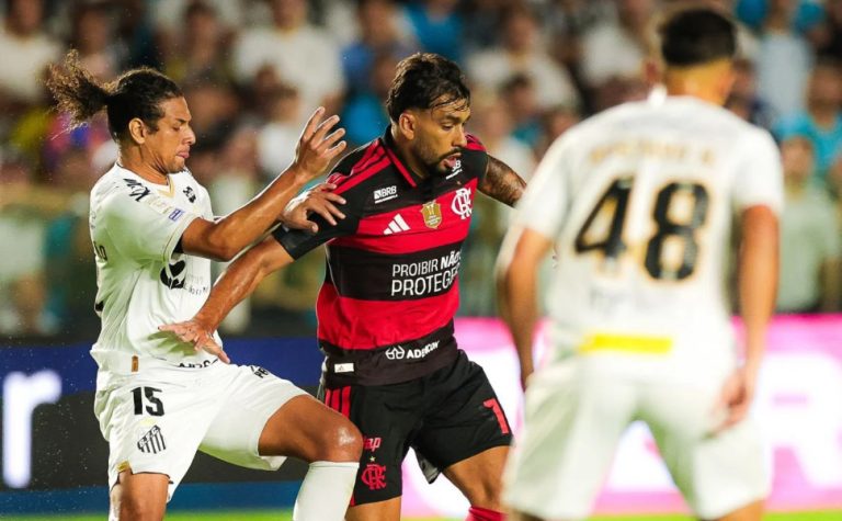 Com influência da arbitragem, Santos busca empate com líder Flamengo