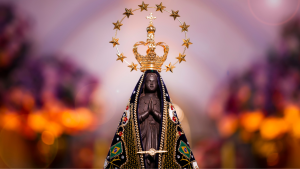 Confira a programação especial do Feriado de Nossa Sra. Aparecida no Recife e RMR