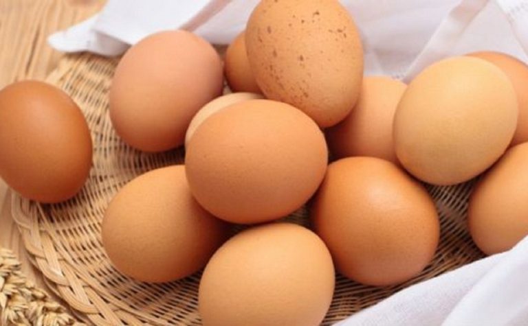 Dia Mundial do Ovo: abusar do alimento para bater meta de proteína pode fazer mal?