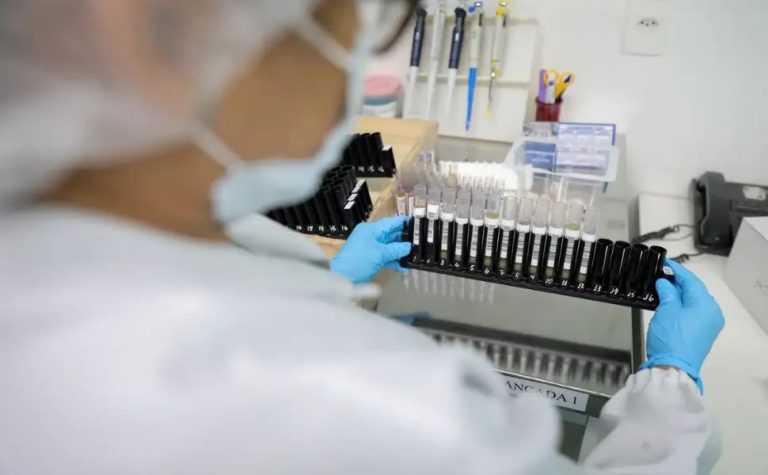 Malária: Anvisa autoriza teste em humanos de vacina 100% brasileira