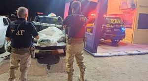 Motorista que seguia pela BR – 232 é preso com 31 kg de maconha em fardos de ração